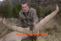 ibex hunt spain