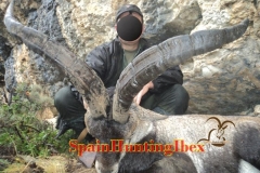 hunting in spain