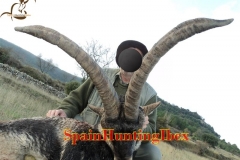 ibex hunt spain