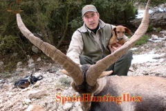 ibex hunt spain