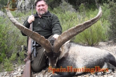 ibex hunt spain