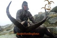 ibex hunt spain