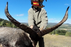 ibex hunt spain