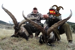 spain hunting ibex