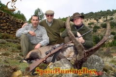 spain hunting ibex