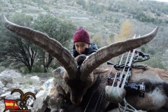 spain hunting ibex