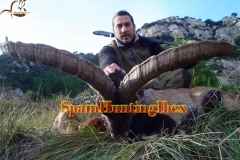 hunting in spain