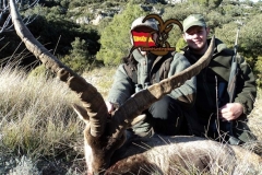 beceite ibex