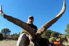 spain hunting ibex