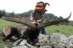 spain hunting ibex