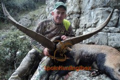 spain hunting ibex