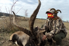 spain hunting ibex