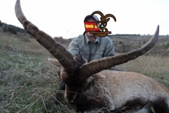 spanish ibex  grand slam