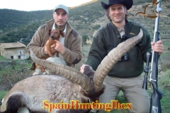 spain hunting ibex