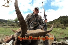 spain hunting ibex