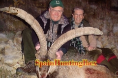 spain hunting ibex