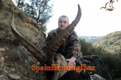 spain hunting ibex