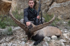 spanish ibex  grand slam