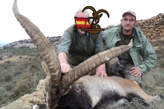 spain hunting ibex