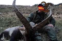 beceite ibex