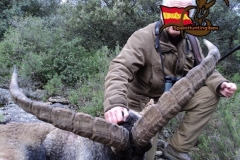 ibex hunt spain