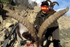 ibex hunting in spain