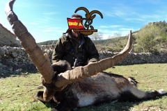 ibex hunt spain