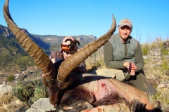 spain hunting ibex