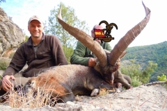 spain hunting ibex