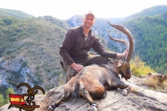 spain hunting ibex