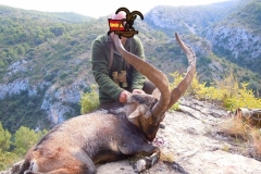 spanish ibex  grand slam