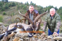 beceite ibex