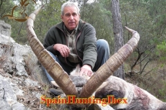 spain hunting ibex