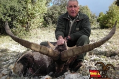spain hunting ibex