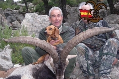 spain hunting ibex