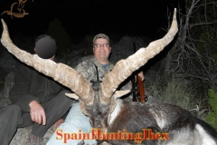 spain hunting ibex