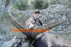 ibex hunt spain