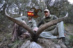 ibex hunting in spain