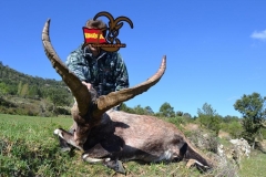 ibex grand slam