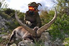 ibex hunting in spain