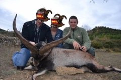 ibex hunt spain