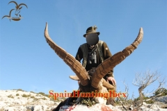 hunting in spain