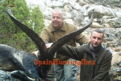 spain hunting ibex