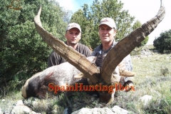 ibex hunt spain