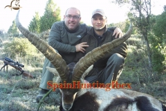 ibex hunt spain