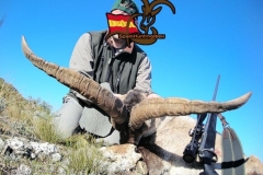 ibex hunt spain