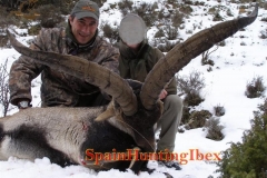 ibex hunt spain