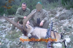 ibex hunt spain