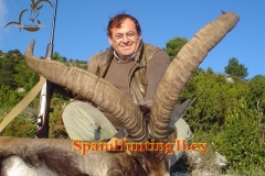 ibex hunt spain