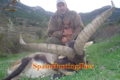 ibex hunt spain